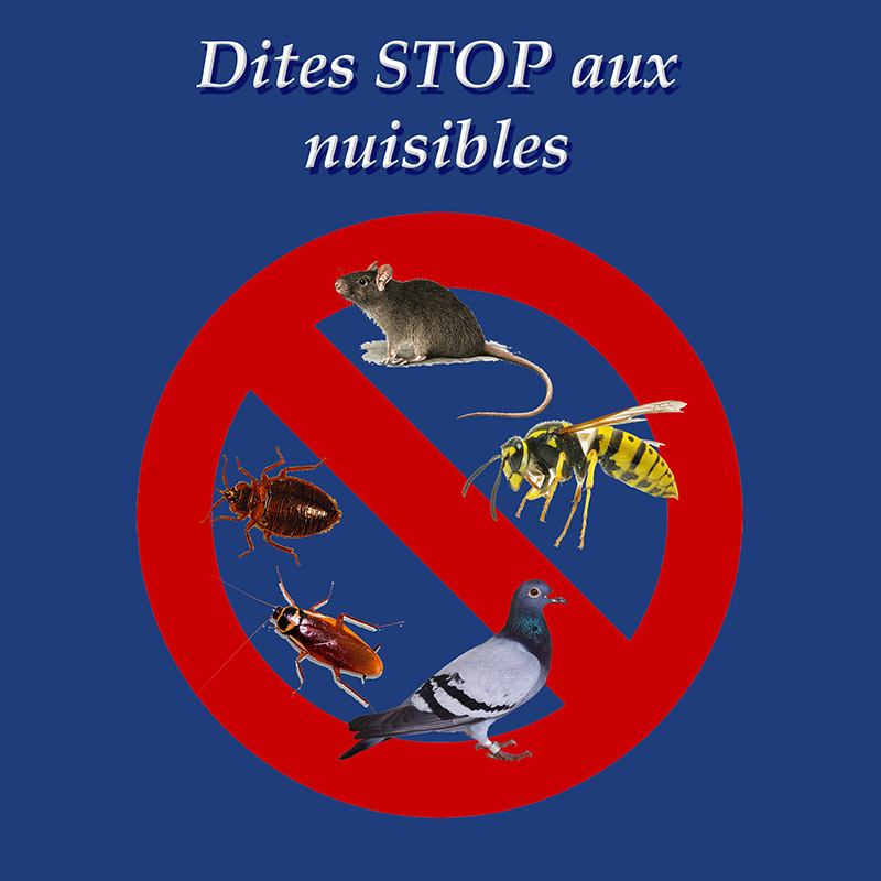 BCI Nettoyage - traitement des nuisibles